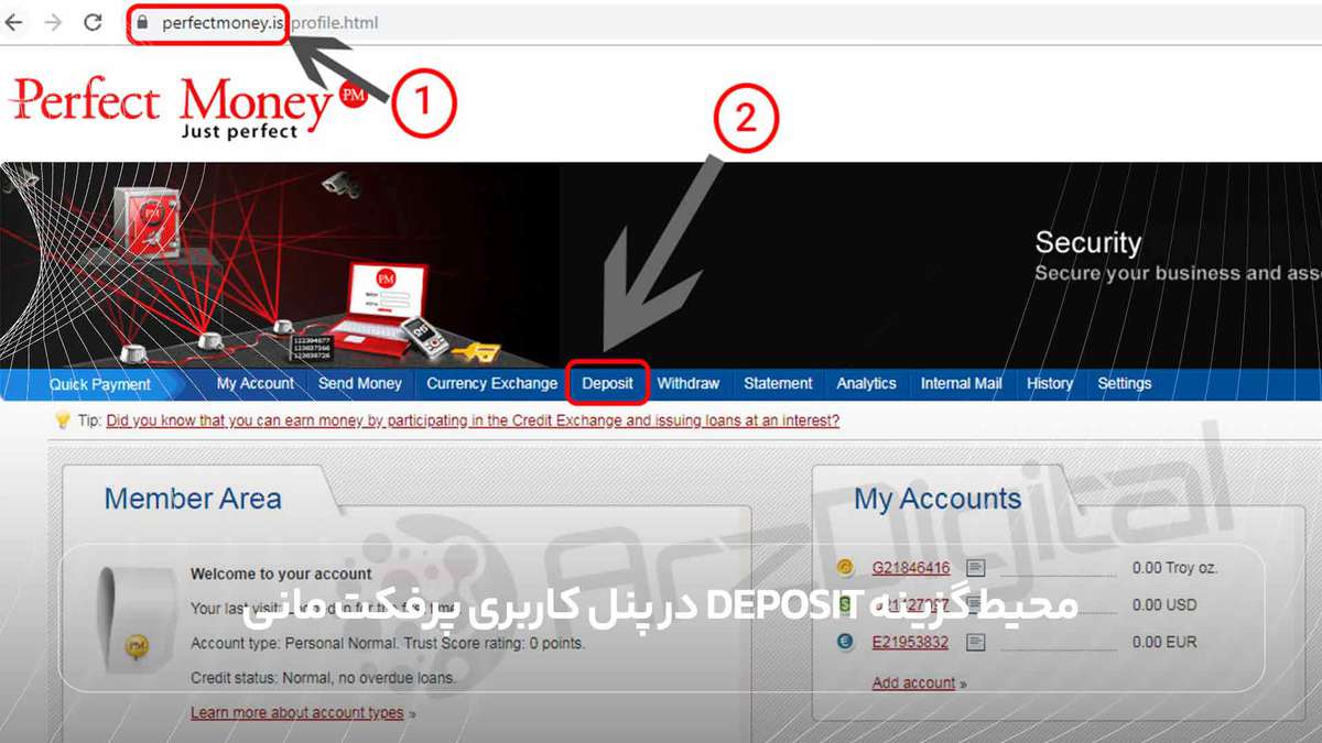 محیط گزینه Deposit در پنل کاربری پرفکت مانی