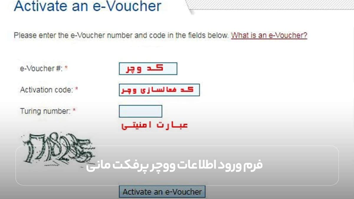 فرم ورود اطلاعات ووچر پرفکت مانی