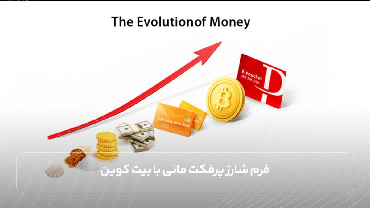 فرم شارژ پرفکت مانی با بیت کوین