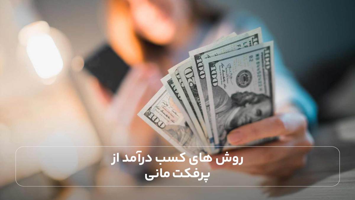 روش های کسب درآمد از پرفکت مانی