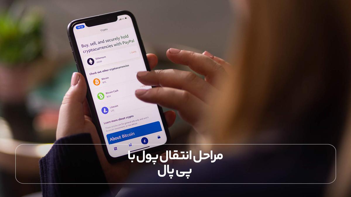 مراحل انتقال پول با پی پال