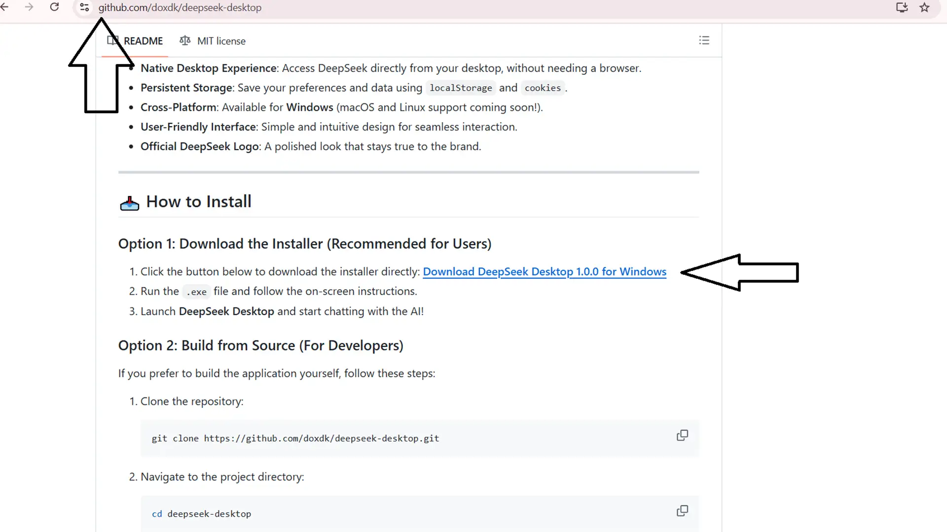 آیا به دانلود دیپ سیک (DeepSeek) احتیاج است؟
